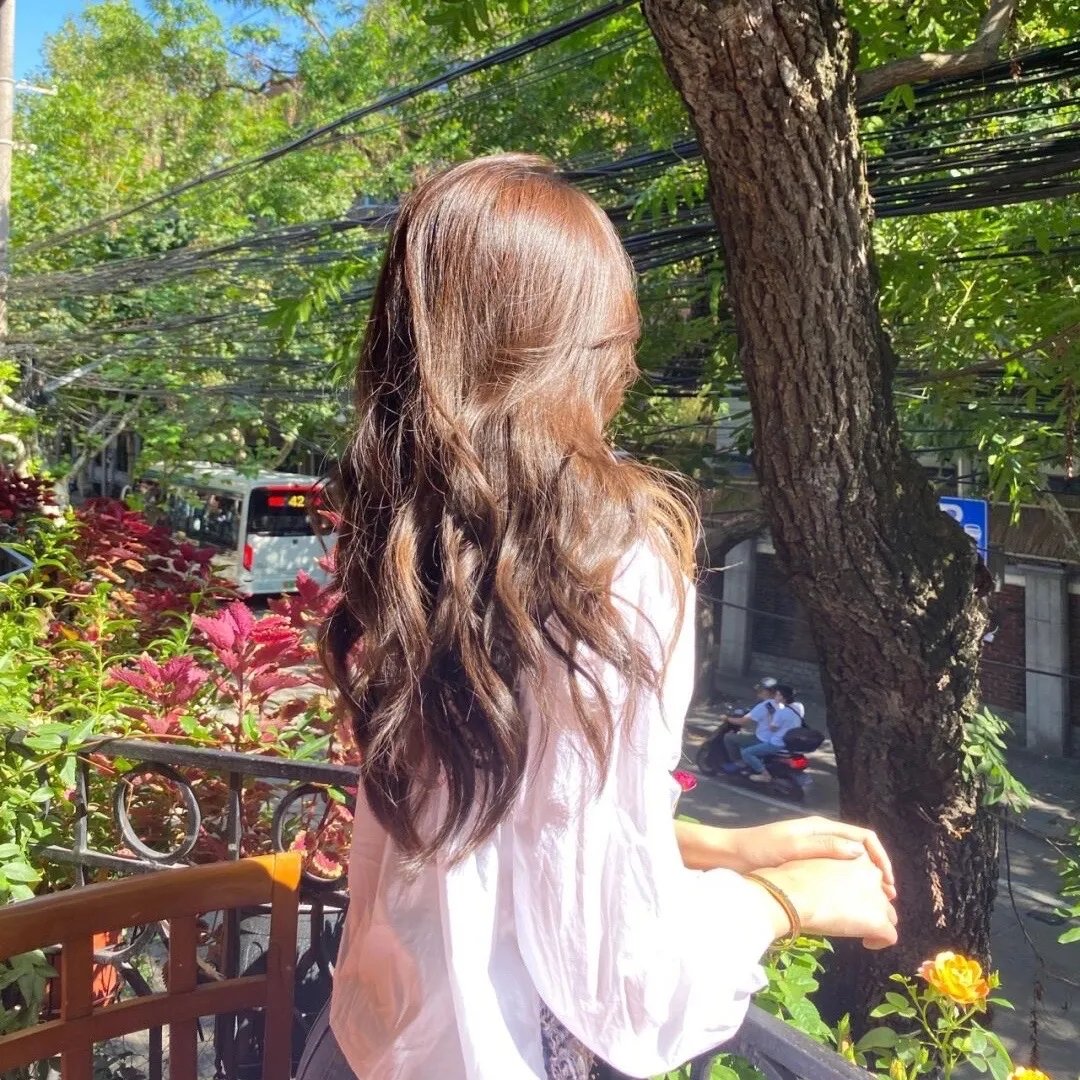 与鲨同游